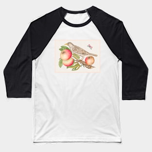 Brown Bird on Apple Branch with Caterpillar (18th Century) Baseball T-Shirt